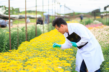 Thai Asian scientists are investigating the quality and integrity of the flowers in the flower...
