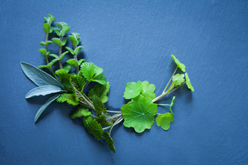 Alterntive herbal medicine -  herbal remedies, essential oils and teas extracted from medicinal...