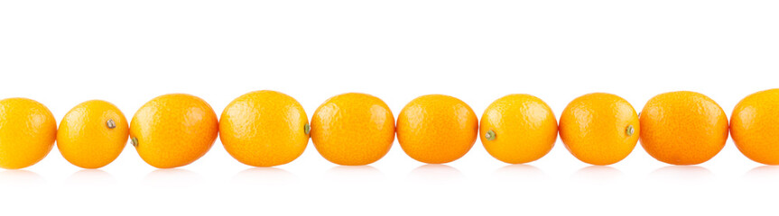 Line of kumquats