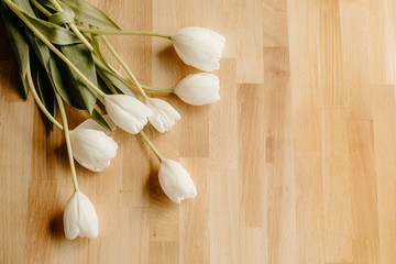 tulip on wooden background