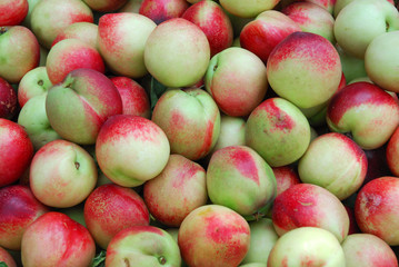 close up on fresh peach as food background