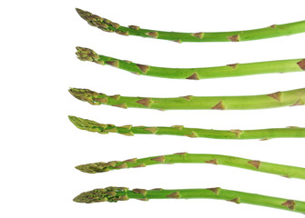 Obraz premium fresh asparagus isolated on white background