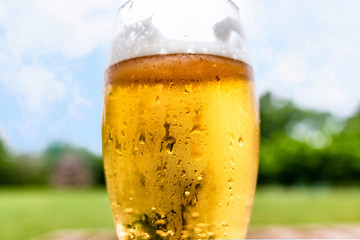 青空の下のグラスビール・横位置