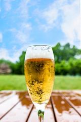 青空の下のグラスビール・縦位置