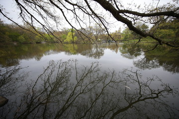 Obraz premium The Central Park Lake