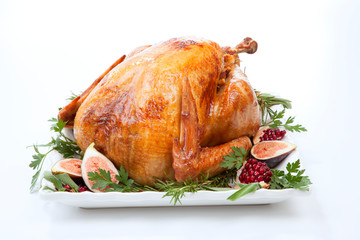Traditional Roasted Turkey on White