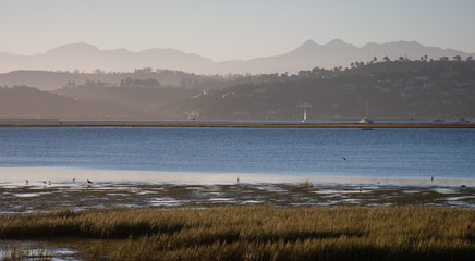 Landscape over grasses on the mud flats of Knysna lagoon at low tide with mountains in the distance