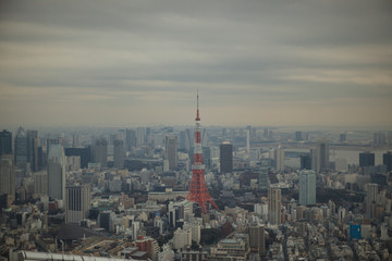 Fototapeta na wymiar 曇りで霞んだ東京の風景