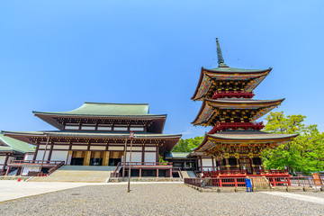 成田山新勝寺大本堂と三重塔
