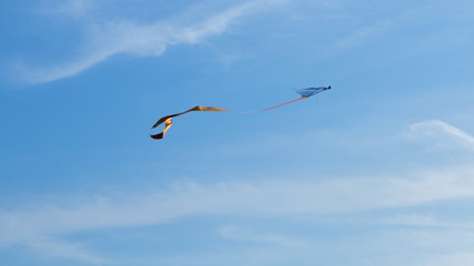 Kites flying in the blue sky