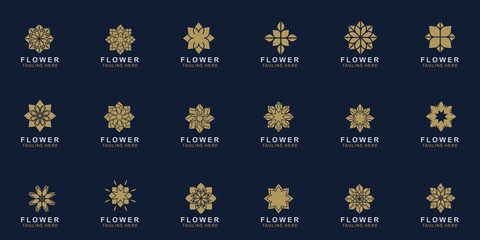 Set of Premium flower logo