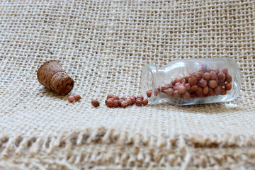 coriander seeds scattered on the table