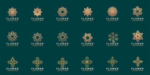Set of Premium flower logo