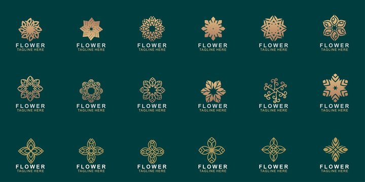 Set of Premium flower logo