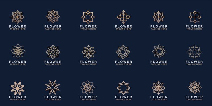 Set of Premium flower logo