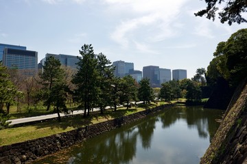 Fototapeta na wymiar 江戸城から望む丸の内ビル群