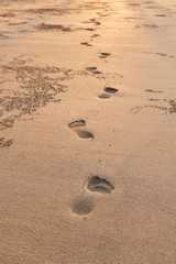 Footsteps on a sandy beach, sunset light