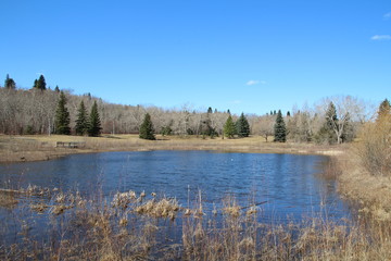 Spring On The Pond, Gold Bar Park, Edmonton, Alberta