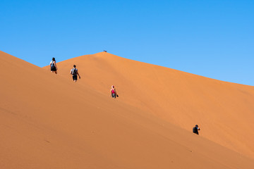 Fototapeta na wymiar Travelers walking on the sand dune desert with clear blue sky background