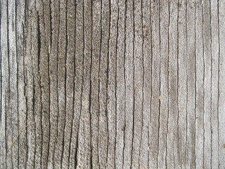 Background of old wooden plank illuminated with sunlight. Texture of old natural wooden board in the sun.
