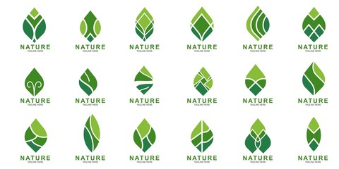 Set of Leaf logo design