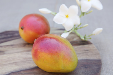 ripe organic mango fruit on wooden cut board  with white flowers. Concept of tropical vitamin fruits. Close-up.