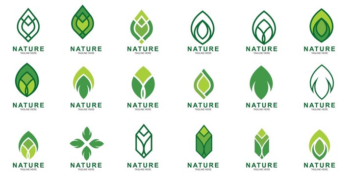 Set of Leaf logo design