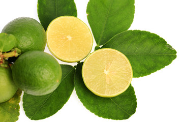Fresh ripe lemon on white background, lemon on tree