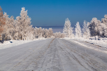 Winter road among the snowy birch grove