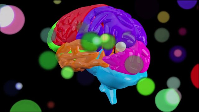Animation of 3d brightly colored human brain rotating on black background
