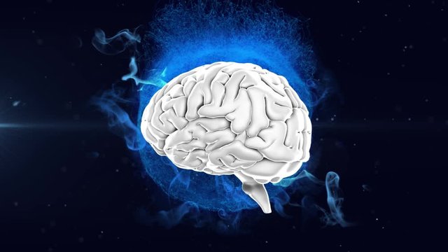 Animation of 3d human brain rotating over glowing blue globe on black background