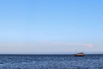 Fototapeta premium In the sea