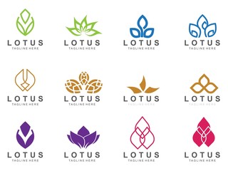 Set of Lotus logo