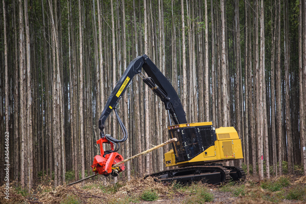 Poster Logging Equipment Wood Harvesting