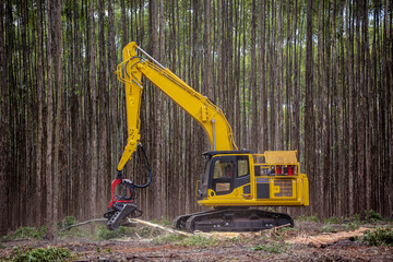 Logging Equipment Wood Harvesting