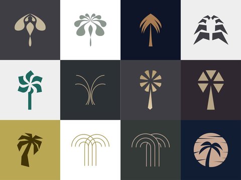 set of Premium palm logo design