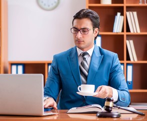Lawyer working in the office