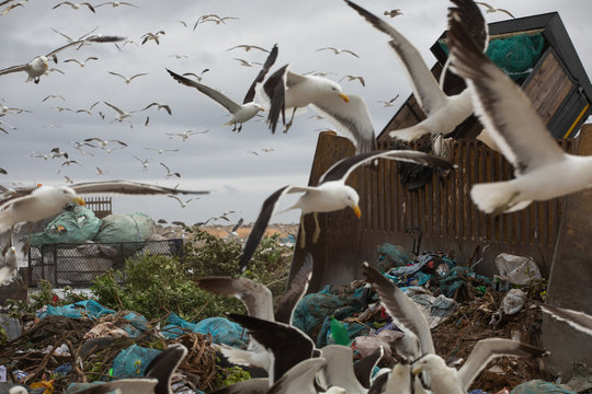 Rubbish piled on a landfill full of trash 