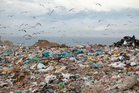Rubbish piled on a landfill full of trash 