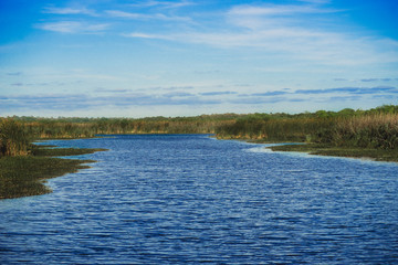 river near a forested swamp in Gemini Springs Florida.