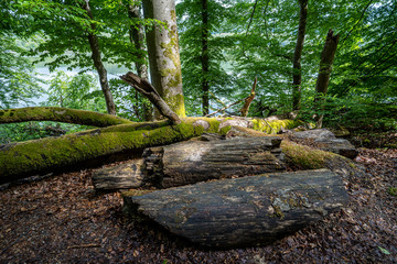 Mindelsee am Bodensee Radolfzell