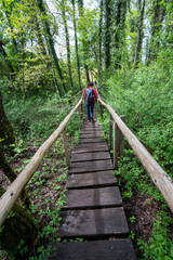 Fototapeta premium Mindelsee am Bodensee Radolfzell