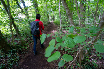 Mindelsee am Bodensee Radolfzell