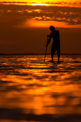 surfer rides by paddle board (S.U.P.) in the ocean against the background of a large disk of the setting sun © ohrim
