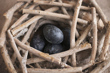  Six dark colored eggs on a plate