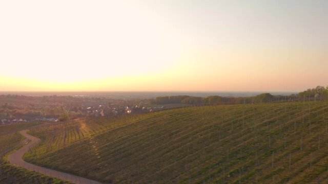 Revealing vineyard with village in background, aerial sunset shot