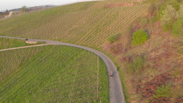 Woman with stroller walks on vineyard during sunset