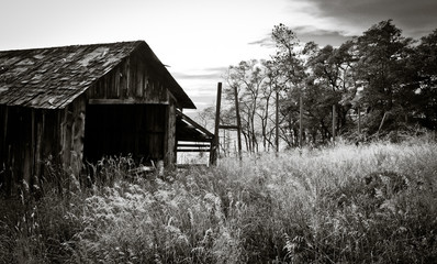 An old barn in a field in black and white