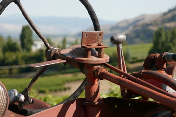 A vintage tractor in a vineyard