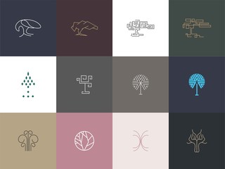 Set Of Premium Tree Logo Design